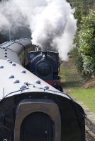 Steam train passing