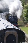 Haverthwaite steam trains