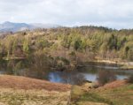 Tarn Hows in the spring